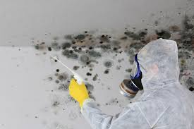 Best Air Quality Testing for Mold Spores  in Pomona, CA